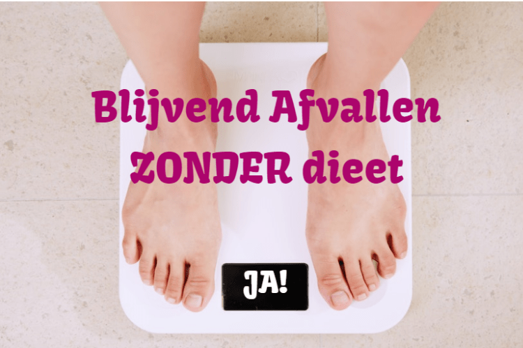 hoe afvallen zonder dieet hoe afvallen zonder dieet